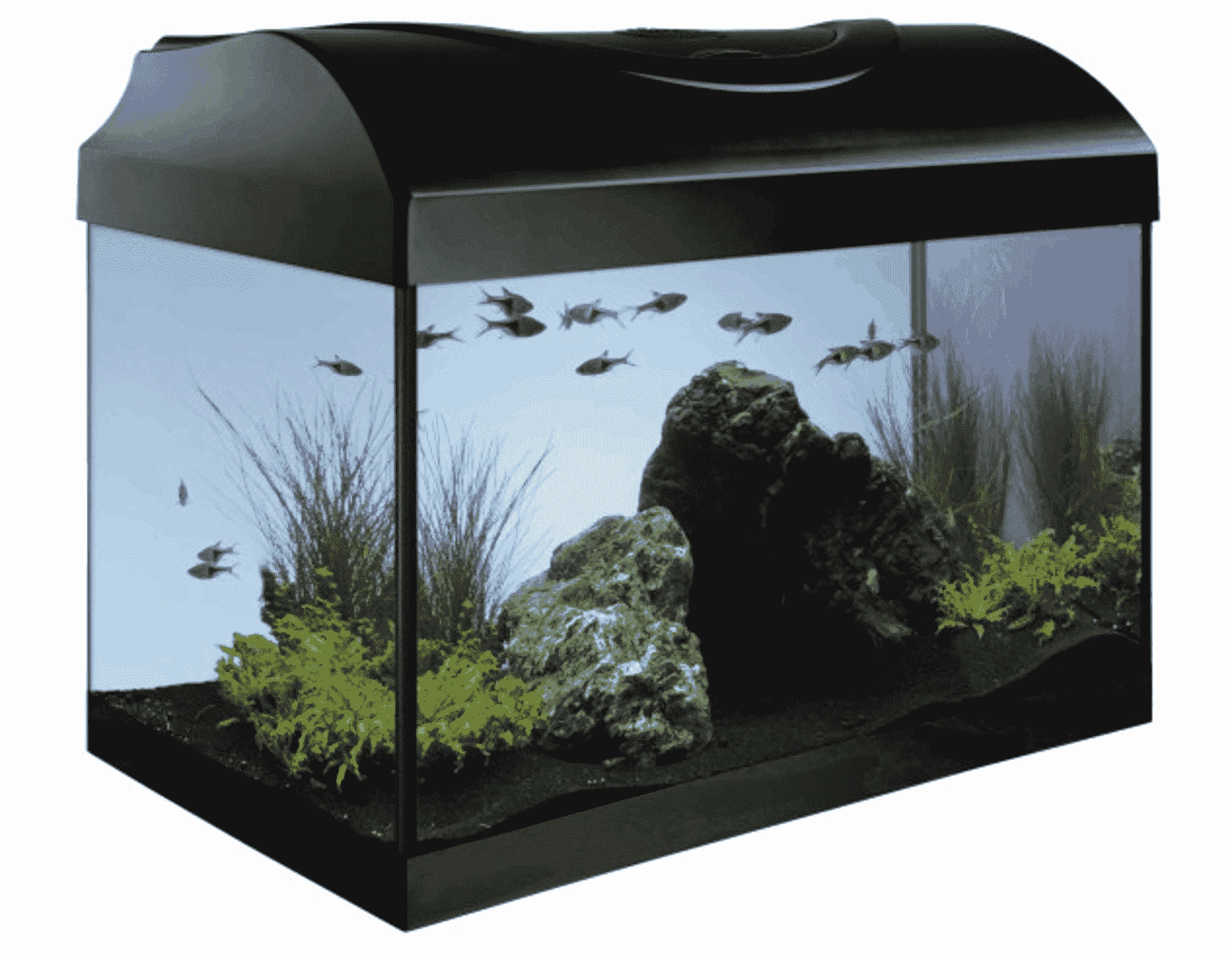 Diversa%20Startup%20Set%2040%20Black%204.8W%20Led%20Expert