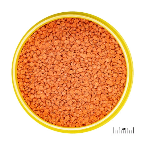Jbl%20Pro%20Novo%20Bits%20Grano%20Medium%201000%20Gr%20Açık
