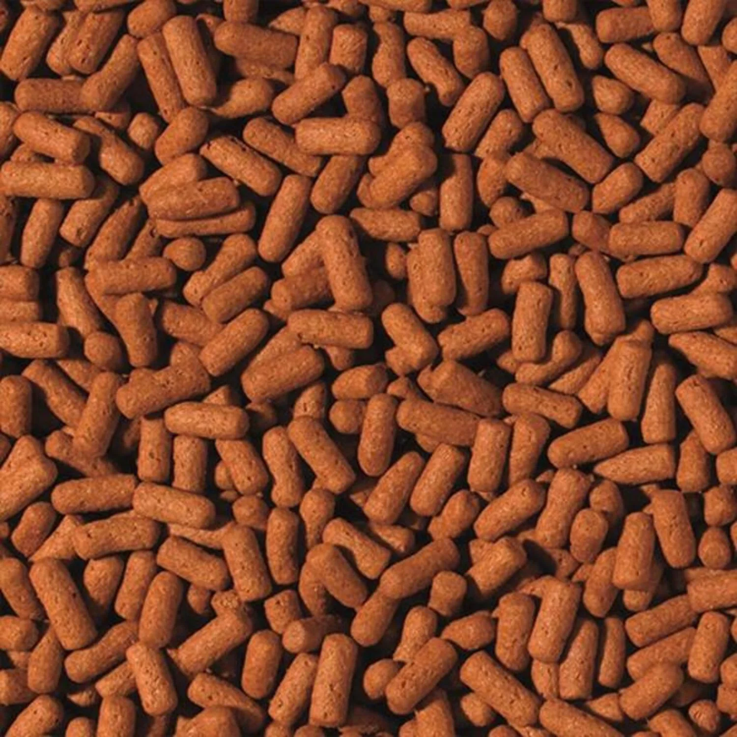 Tropical%20Cichlid%20Arowana%20Large%20Sticks%20250Gr