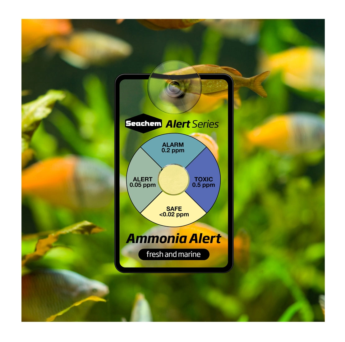 Seachem%20Ammonia%20Alert%201%20Years