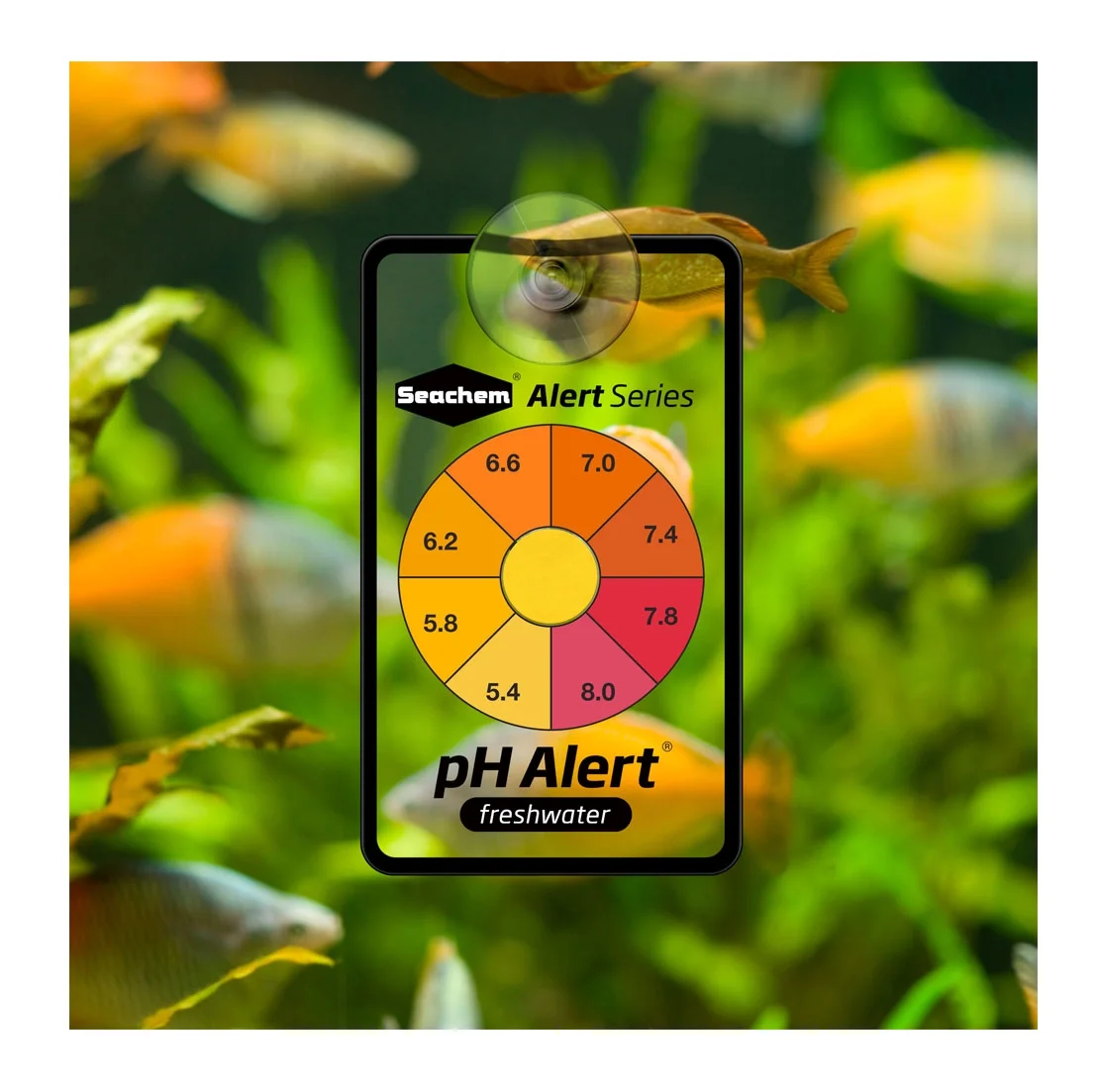 Seachem%20pH%20Alert