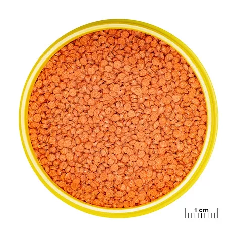 Jbl Pro Novo Bits Grano Medium 1000 Gr Açık