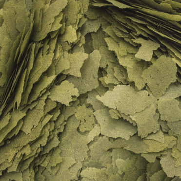 Tropical 3 Algae Flakes 100 Gram Balık Yemi