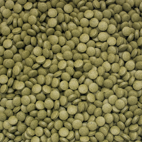 Tropical 3 Algae Tablets B 250 Gram Balık Yemi