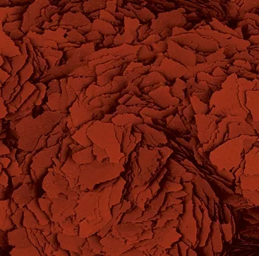 Tropical Astacolor Flakes 500 Gr Açık Bölme