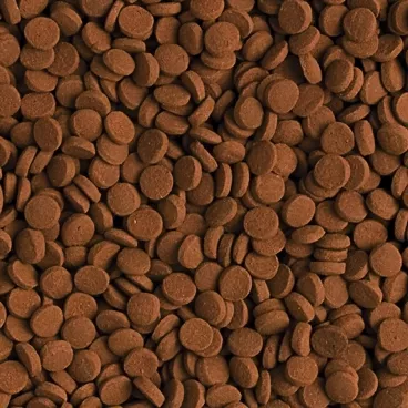 Tropical Carnivore 500 Gr Açık Bölme