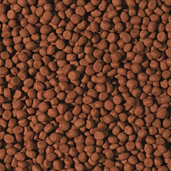 Tropical Cichlid Carnivore Medium Pellet 50 Gr Açık