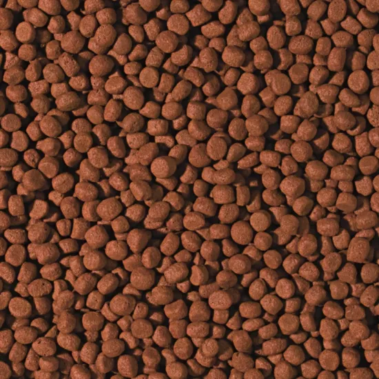 Tropical Cichlid Carnivore Medium Pellet 500 Gr Açık