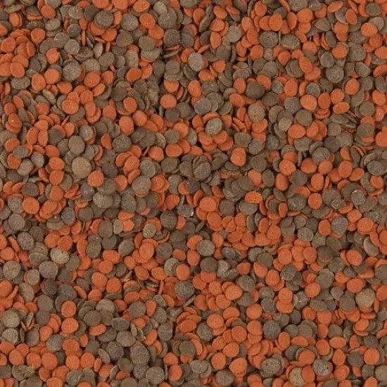 Tropical Cichlid Chips 1000 Gr Açık Bölme