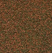 Tropical Cichlid Gran 1000 Gr Açık Bölme