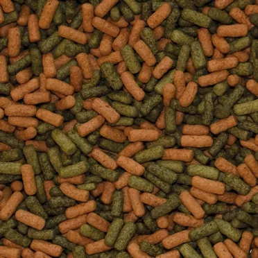 Tropical Cichlid Red Green Large Sticks 1000 Gr Açık