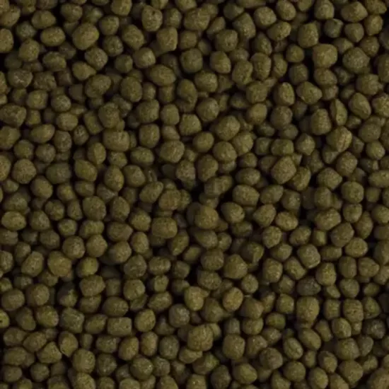 Tropical Flower Horn Adult Pellet 500 Gr Açık