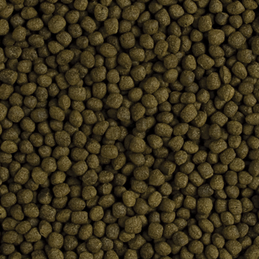 Tropical Flower Horn Adult Pellet 250 Gram Balık Yemi