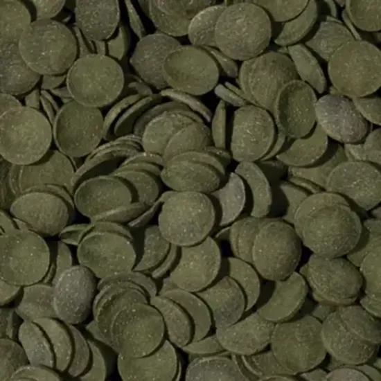 Tropical Green Algae Wafers 100 Gram Açık