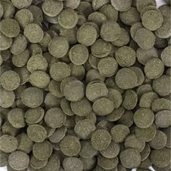 Tropical Hi Algae Discs 25 Gr Açık