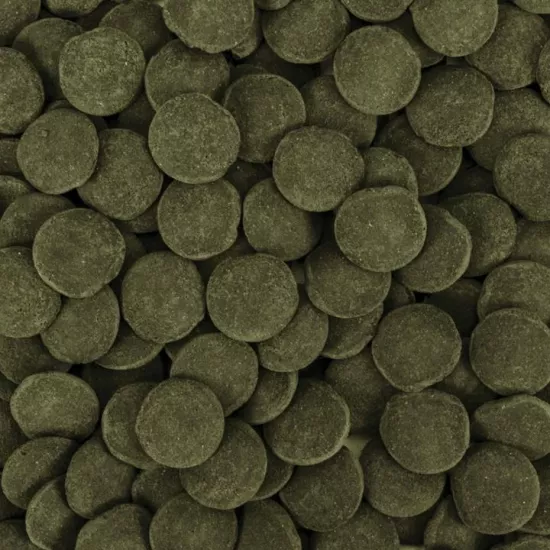 Tropical Hi-Algae Discs XXL 1000 Gr Açık Bölme