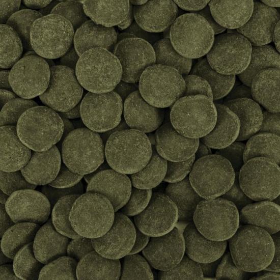 Tropical Hi-Algae Discs XXL 100 Gram Balık Yemi