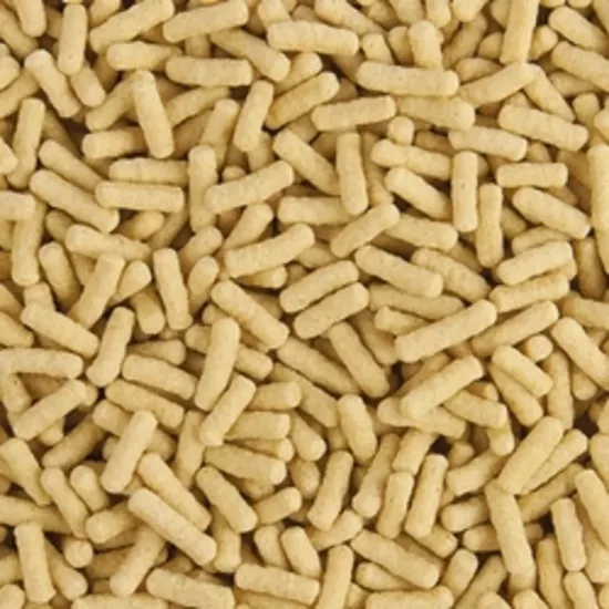 Tropical Koi Goldfish Basic Sticks 100 Gr Açık
