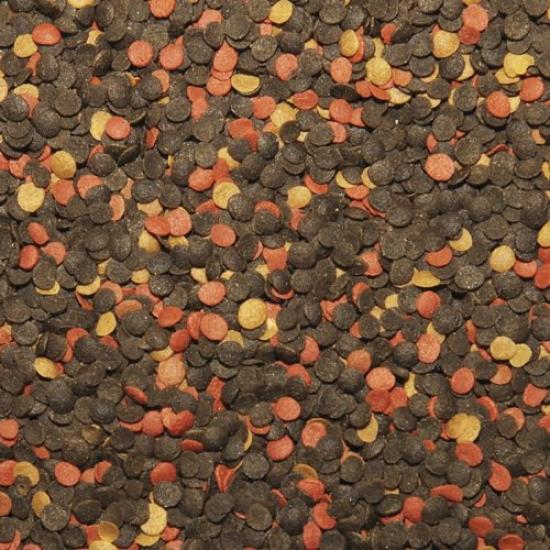 Tropical Malawi Chips 50 Gram Balık Yemi