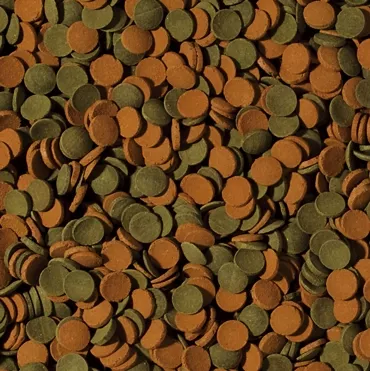 Tropical Mini Wafers Mix 1000 Gr Açık Bölme