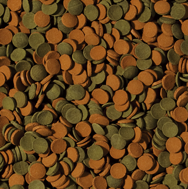 Tropical Mini Wafers Mix 250 Gram Balık Yemi