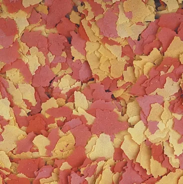Tropical Ovo-Vit Flakes 25 Gram Açık
