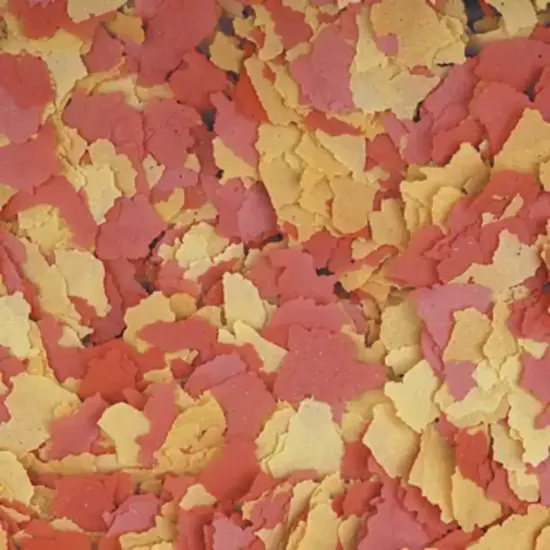 Tropical Ovo-Vit Flakes 500 Gr Açık