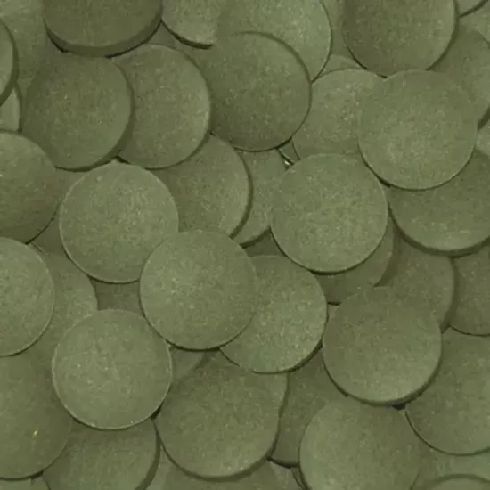 Tropical Plecos Tablets 50 Gram Açık