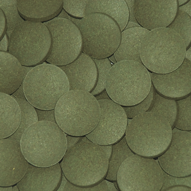 Tropical Plecos Tablets 100 Gram Balık Yemi