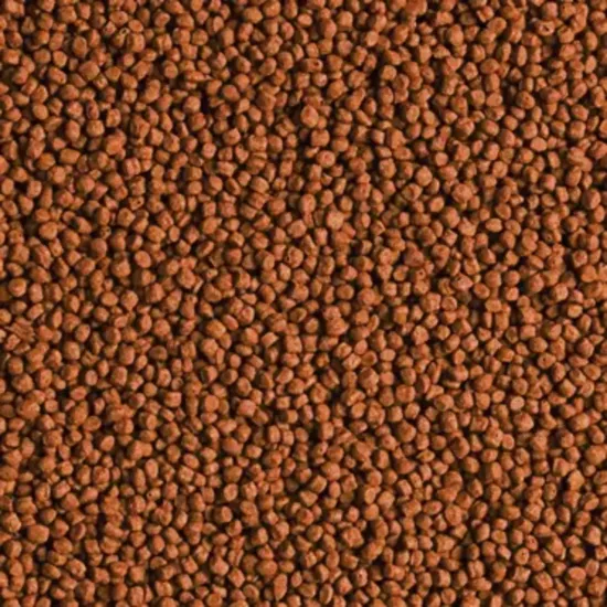 Tropical Red Parrot Gran 25 Gram Açık