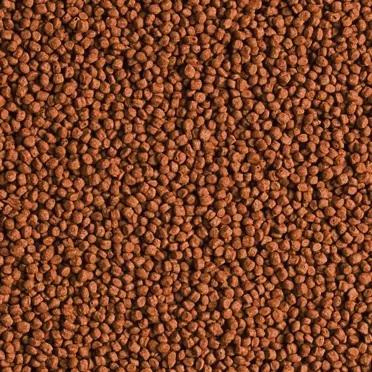 Tropical Red Parrot Gran 25 Gram Açık