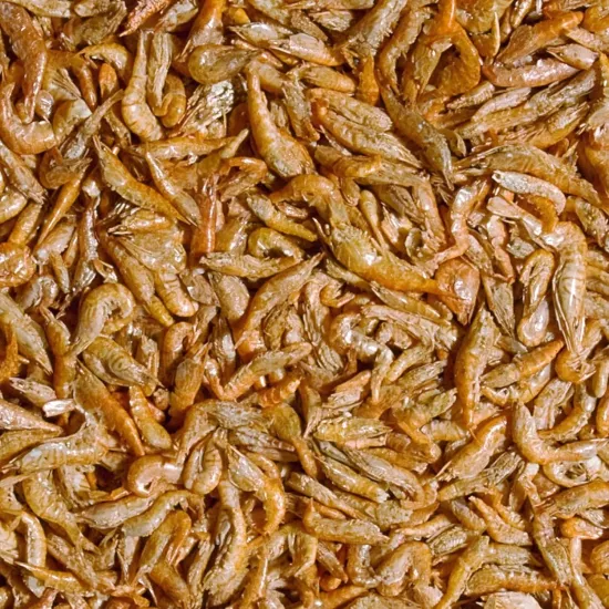 Tropical River Shrimps 50 Gr Kovadan Bölme