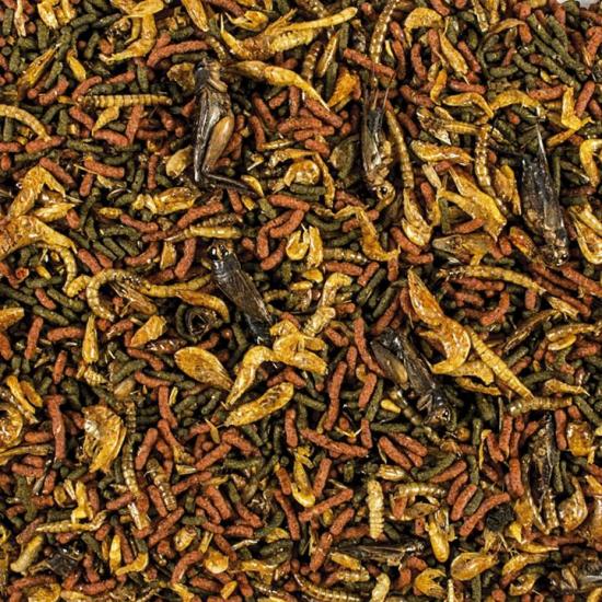 Tropical Soft Line Carnivore 50 Gram Balık Yemi