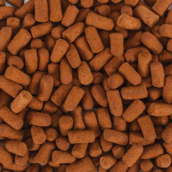 Tropical Soft Line Monster Fish 100 Gram Balık Yemi