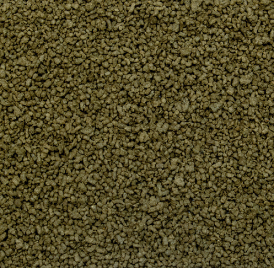 Tropical Spirulina Gran 100 Gram Balık Yemi