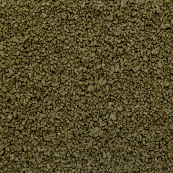 Tropical Spirulina Gran 100 Gram Açık