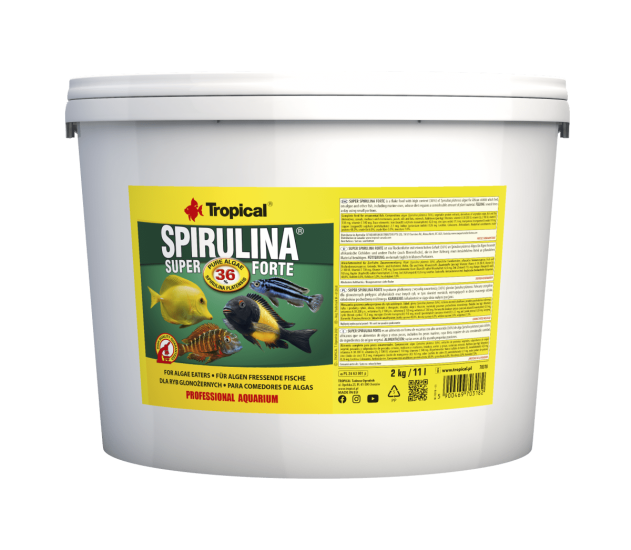 Tropical Spirulina Super Forte Flakes 2 Kg / 11 L Kova Yem