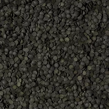 Tropical Super Spirulina Forte Chips 1000 Gr Açık