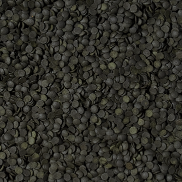 Tropical Super Spirulina Forte Chips 100 Gram Balık Yemi