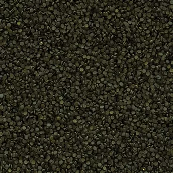 Tropical Super Spirulina Forte Gran 500 Gr Açık