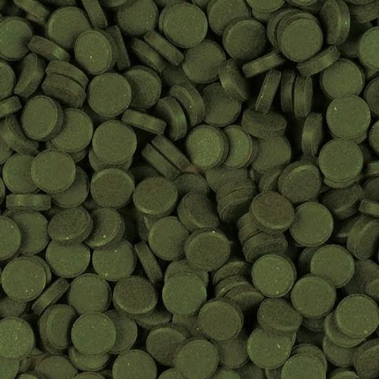 Tropical Super Spirulina Forte Tablets 100 Adet Balık Yemi