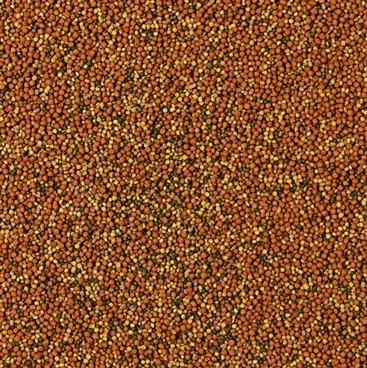 Tropical SuperVit Granulat 1000 Gr Açık