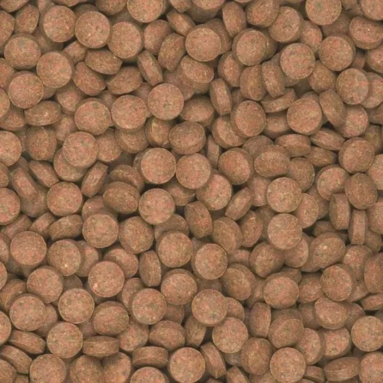 Tropical Supervit Tablets B 1000 Gr Açık Balık Yemi