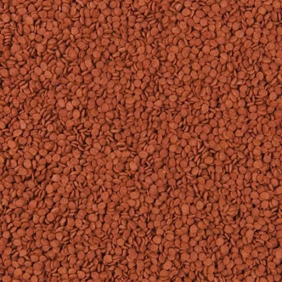 Tropical Tanganyika Chips 1000 Gr Açık Bölme