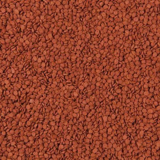 Tropical Tanganyika Chips 100 Gram Balık Yemi