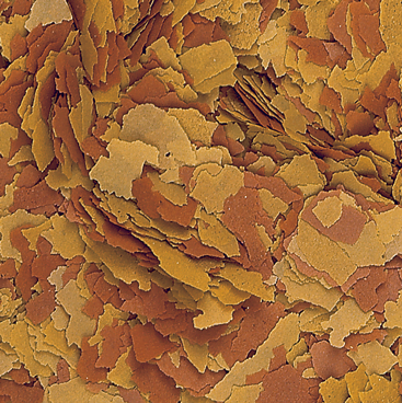 Tropical Vitality Color Flakes 100 Gram Balık Yemi