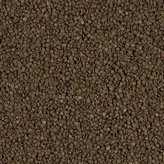 Tropical Welsi Gran 1000 Gram Açık