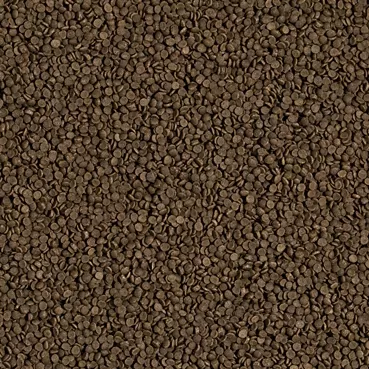 Tropical Welsi Gran 1000 Gram Kovadan Bölme