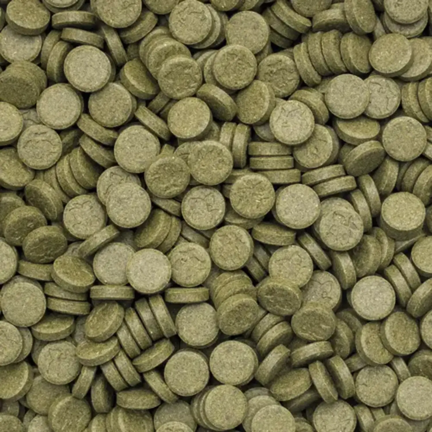 Tropical%203%20Algae%20Tablets%20A%20500%20Adet%20Açık%20Bölme