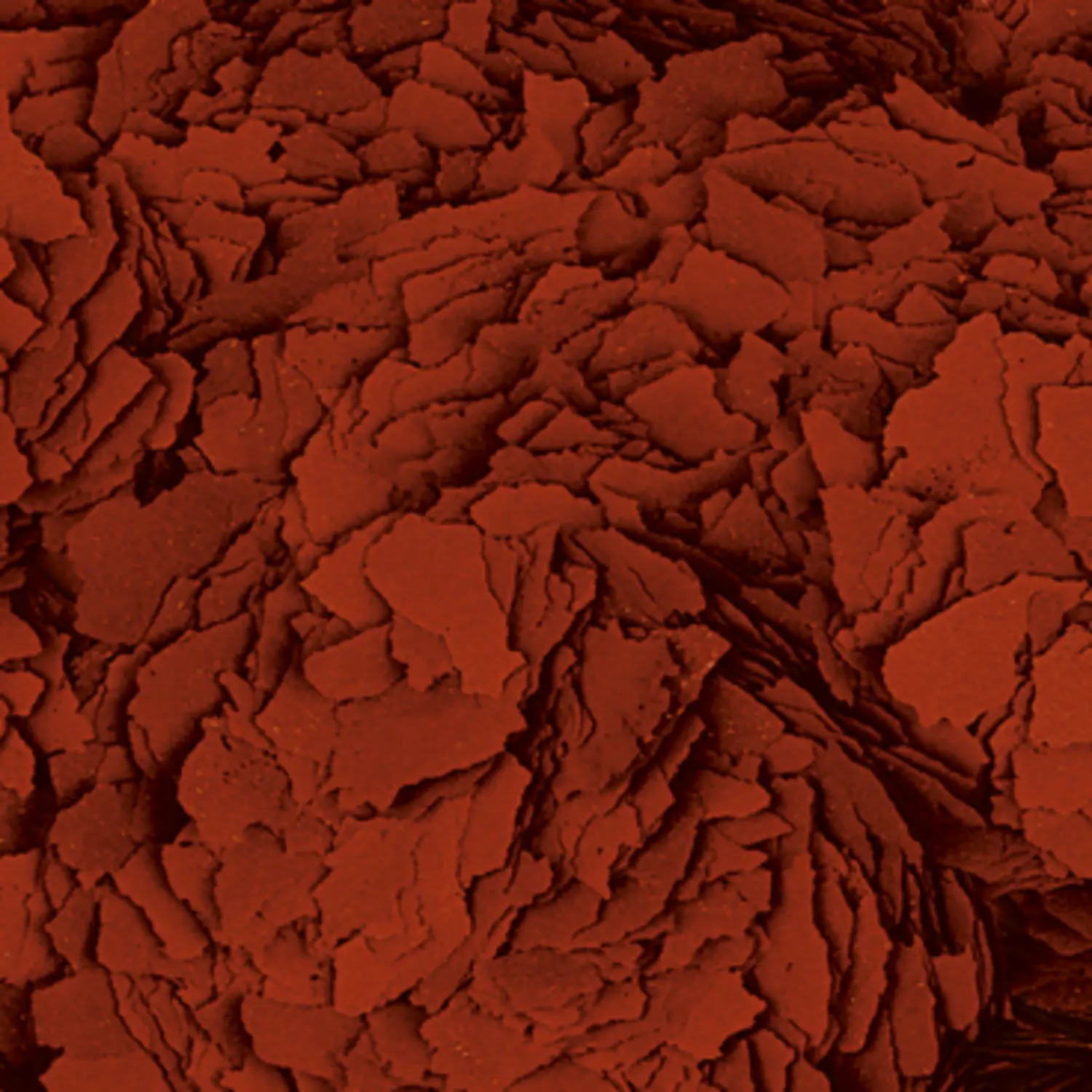 Tropical%20Astacolor%20Flakes%20250%20Gram%20Açık